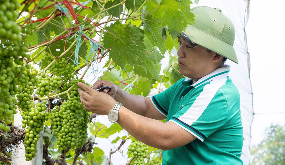 Trường Đại học Nông - Lâm Bắc Giang: Đào tạo đa ngành theo định hướng ứng dụng