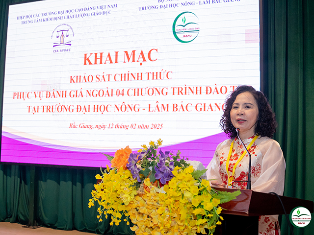 Khai mạc đợt khảo sát chính thức đánh giá 4 chương trình đào tạo