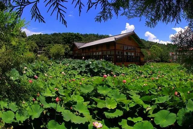 Chiến lược xây dựng thương hiệu ở nông thôn: Biến tài nguyên thành giá trị