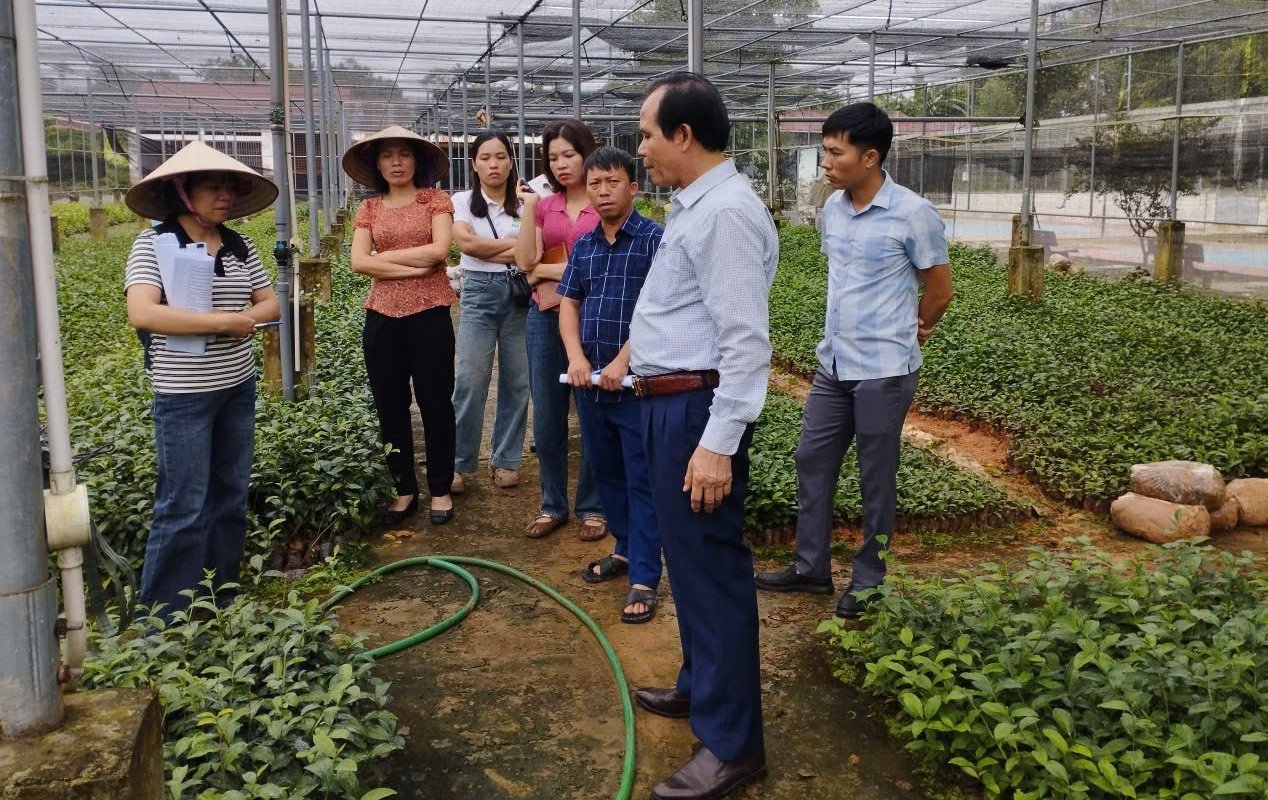 Tập huấn phương pháp kiểm định lô giống cây trồng lâu năm